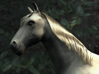 Horses 3d model